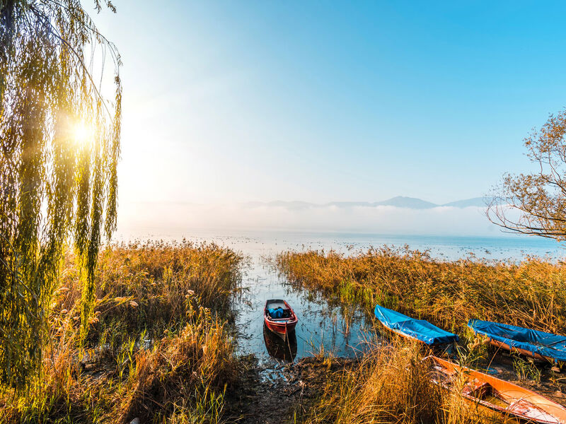 Maşukiye & Ormanya & Sapanca