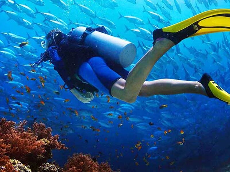 Fethiye Ölüdeniz Dalyan Gökova Turu