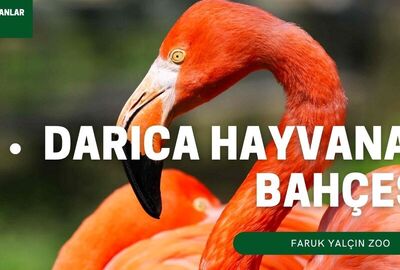 Faruk Yalçın Zoo - Darıca Hayvanat Bahçesi